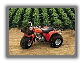 1980 ATC 185