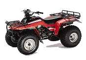 1984 TRX 200