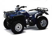 1989 FourTrax 300 4x4 